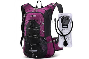 71I9qGtqAmL._AC_UL320_