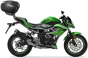 Baul Kawasaki Z650 71ZsAs+d7sL._AC_UL320_