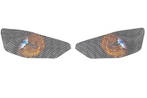 71nXPDwEd8L._AC_UL320_