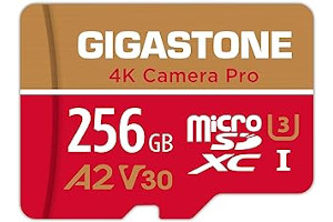 Sd Para Gopro 9 71qJENlMg4L._AC_UL320_