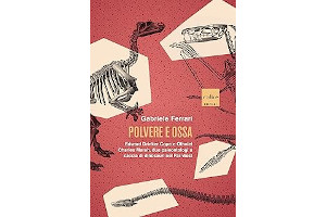 81uPoCHBjYL._AC_UL320_