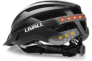 81wWwoEMIvL._AC_UL320_